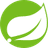 Spring logo